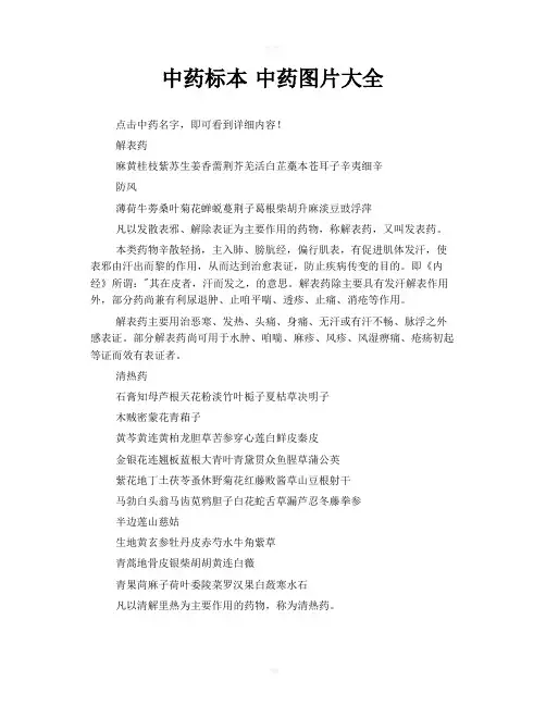 中药标本中药图片大全