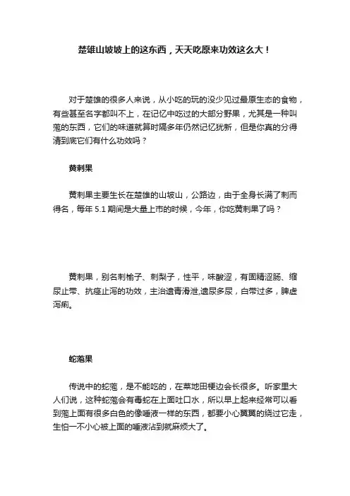 楚雄山坡坡上的这东西，天天吃原来功效这么大！