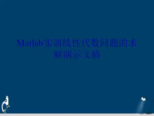 Matlab实训线性代数问题的求解演示文稿