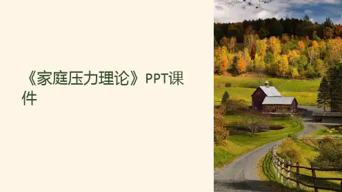 《家庭压力理论》课件