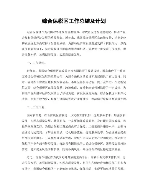综合保税区工作总结及计划