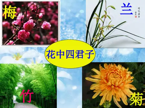 六年级下10 古诗三首：竹石部编版 PPT(共19页)