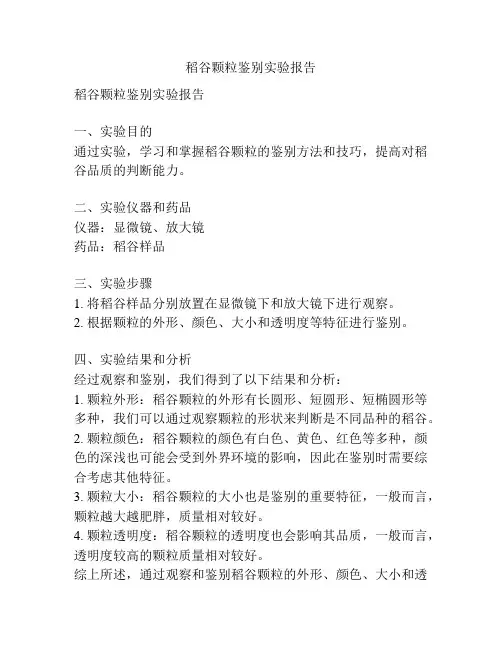 稻谷颗粒鉴别实验报告
