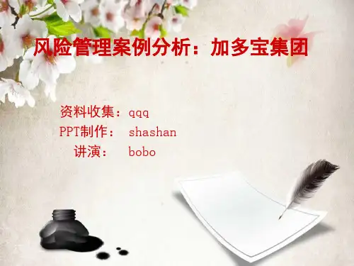 加多宝公司战略与风险管理SWOT分析概述