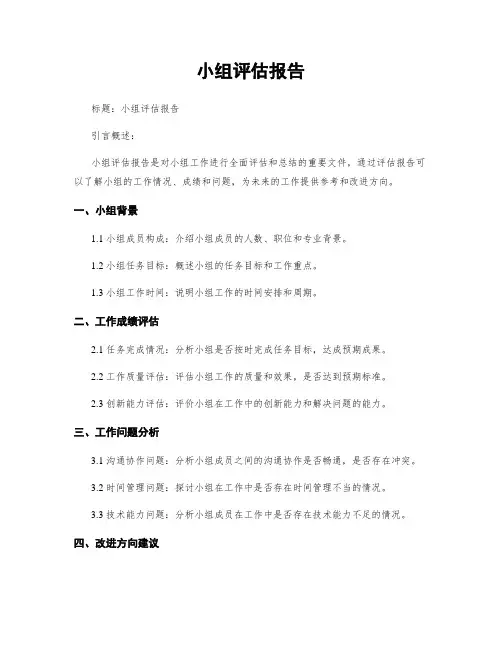 小组评估报告