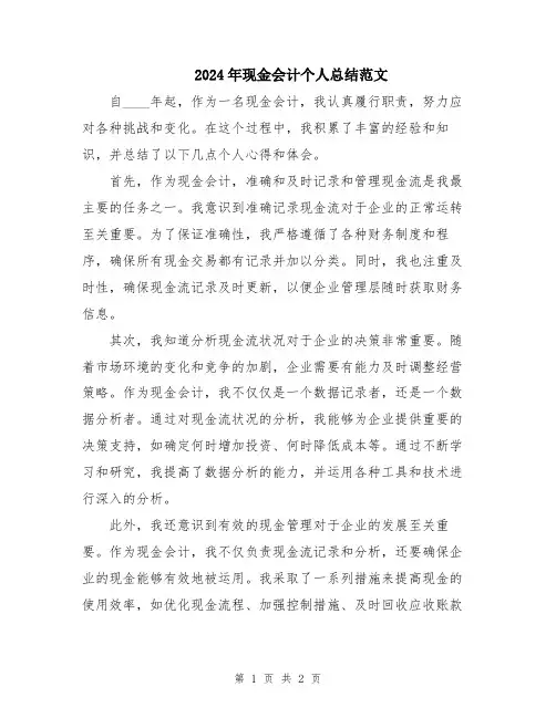 2024年现金会计个人总结范文