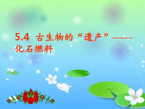5.4--古生物的“遗产”——化石燃料(粤教版)解析PPT课件
