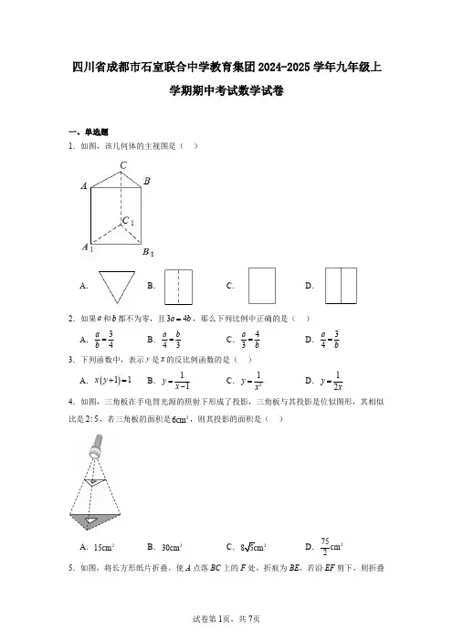 四川省成都市石室联合中学教育集团2024-2025学年九年级上学期期中考试数学试卷