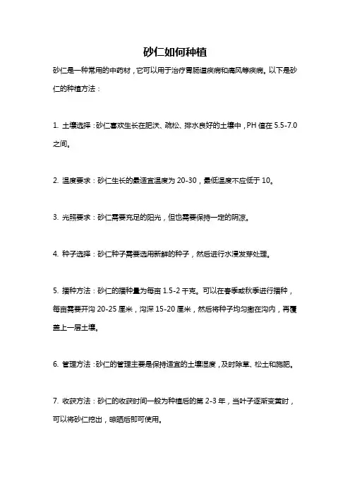 砂仁如何种植