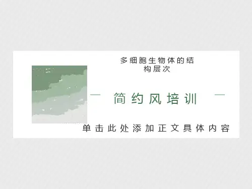 多细胞生物体结构层次