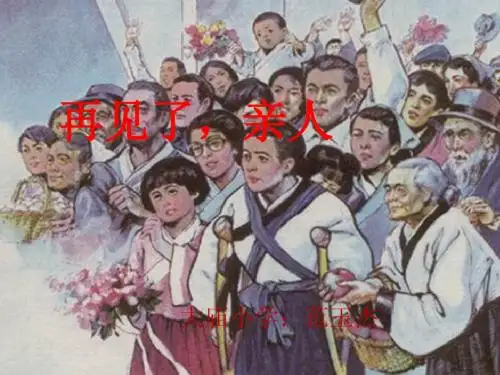 第14课《再见了,亲人》ppt课件1