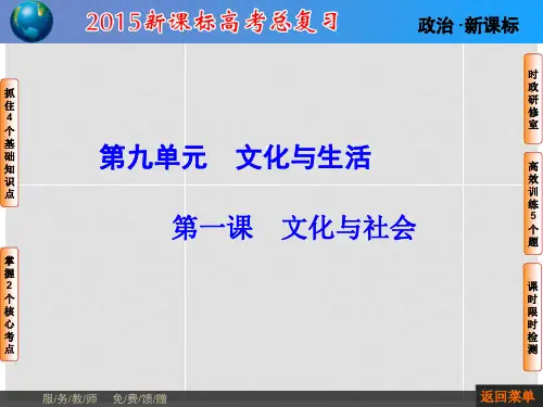 高考政治一轮复习 第九单元 第一课 文化与社会课件