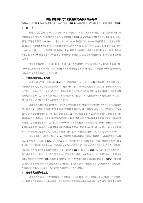煤制甲醇原料气工艺及耐硫变换催化剂的选择