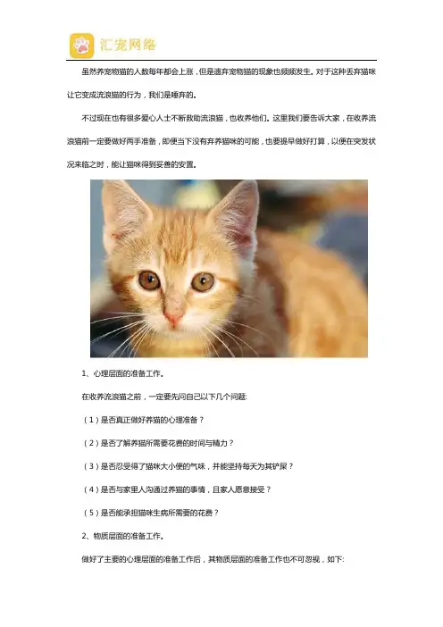 遇到流浪猫了该怎么办？如何处理？