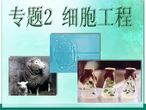 2.1.1植物细胞工程的基本技术