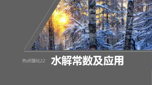 2024届高考一轮复习化学课件(人教版)：水溶液中的离子反应与平衡-水解常数及应用