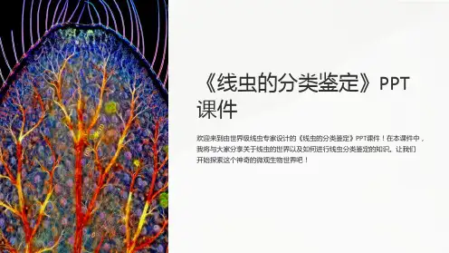 《线虫的分类鉴定》课件