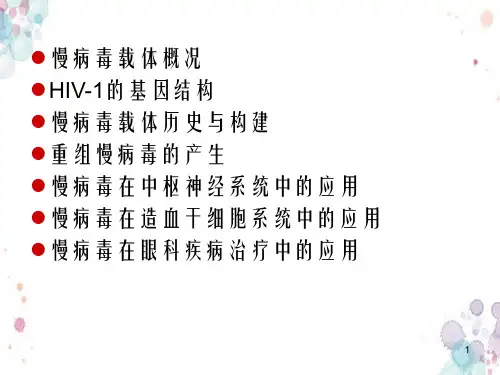 慢病毒的简介