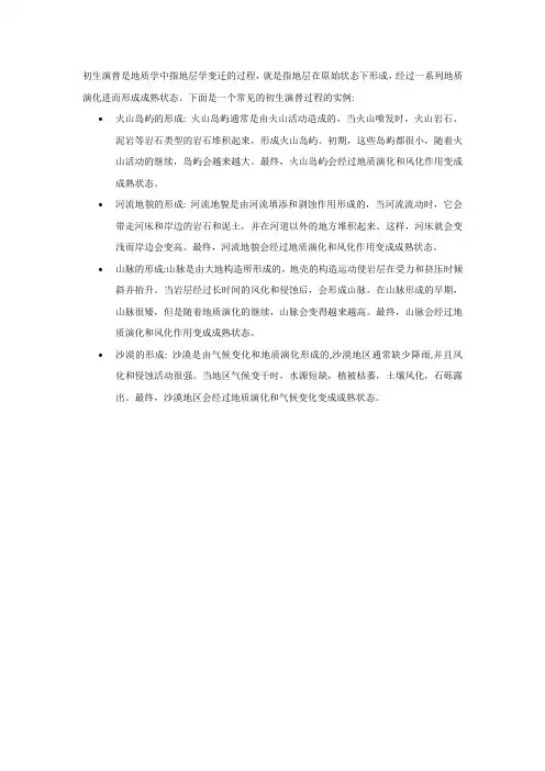 初生演替的实例