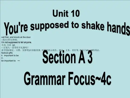 人教版英语九年级全册Unit10SectionAGrammarFocus~4c课件