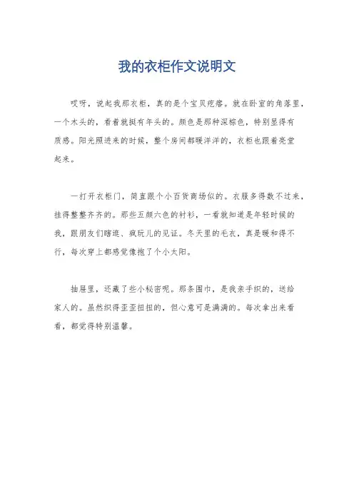 我的衣柜作文说明文