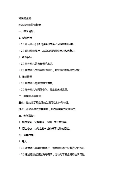 可爱的企鹅幼儿园中班常识教案