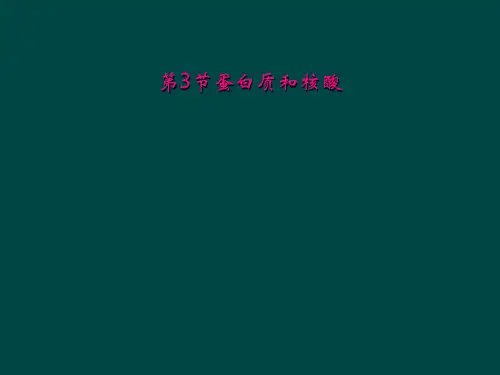 第3节蛋白质和核酸