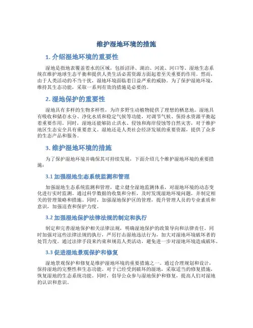 维护湿地环境的措施