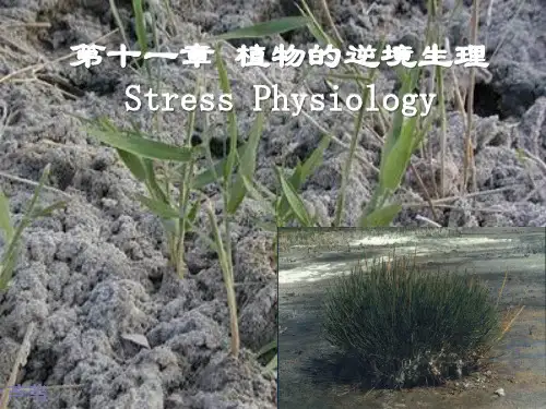 植物生理学 植物的逆境生理