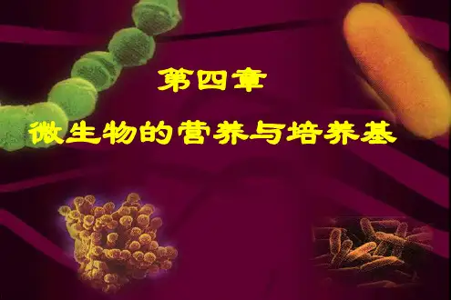 第4章 微生物的营养与培养基