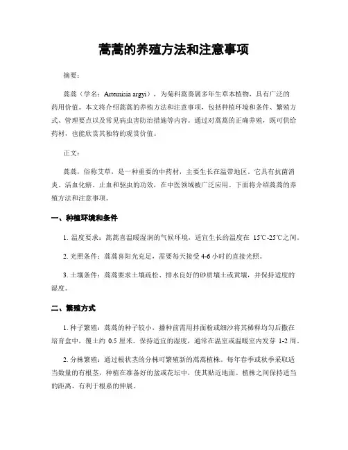 蒿蒿的养殖方法和注意事项