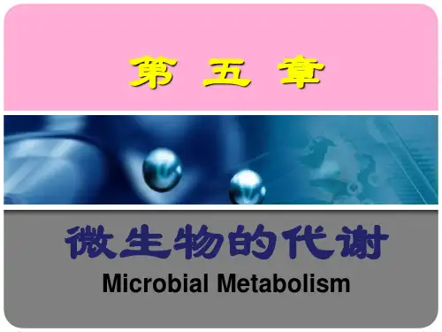 第五章 微生物的代谢