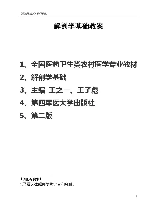 解剖学基础教案
