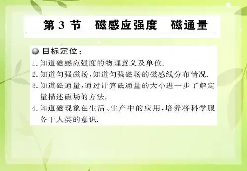 鲁科版高二物理选修3-1_《磁感应强度磁通量》参考课件3