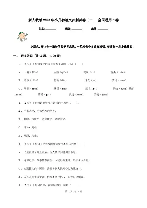 新人教版2020年小升初语文冲刺试卷(二) 全国通用C卷