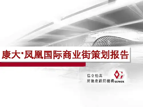 康大凤凰国际商业街策划报告