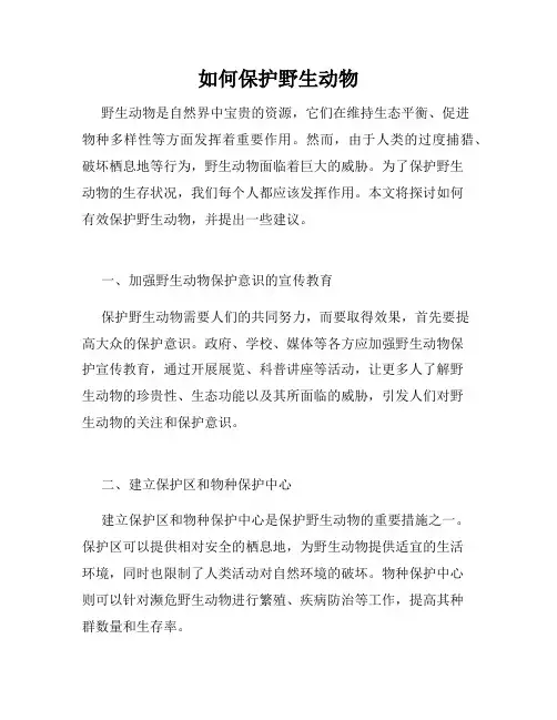 如何保护野生动物