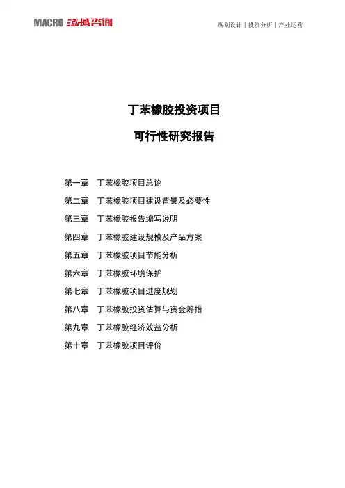丁苯橡胶投资项目可行性研究报告