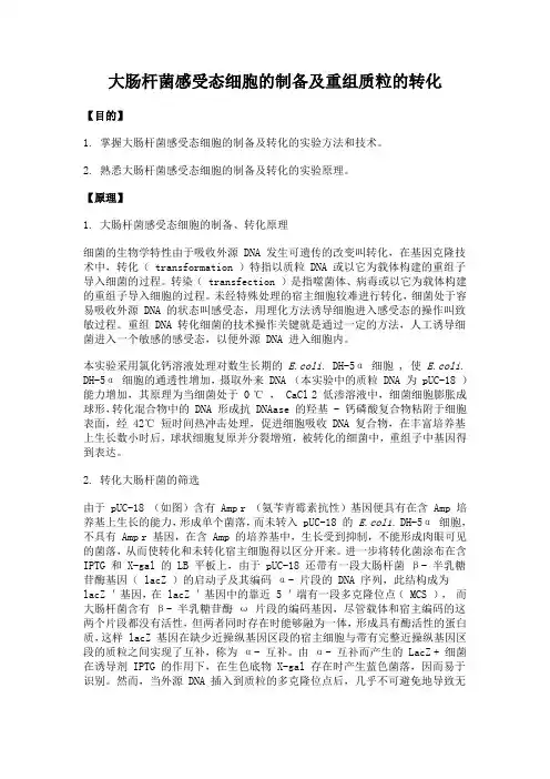 25 生物化学实验--大肠杆菌感受态细胞的制备及重组质粒的转化