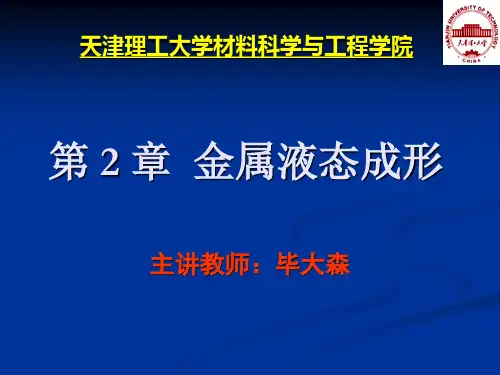 第2章金属液态成形