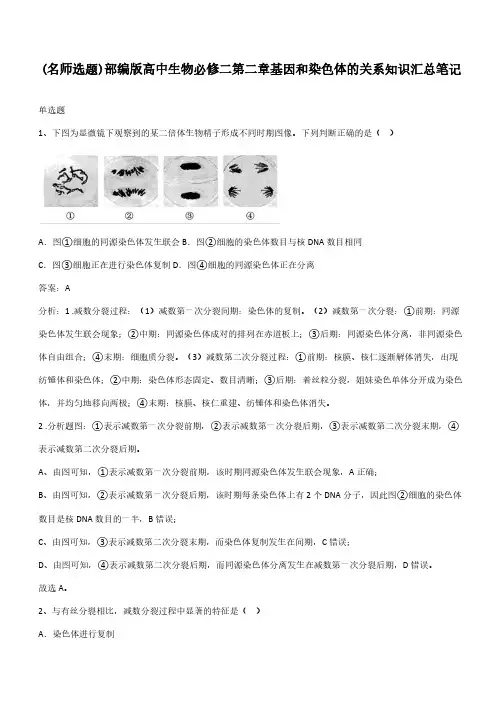 部编版高中生物必修二第二章基因和染色体的关系知识汇总笔记