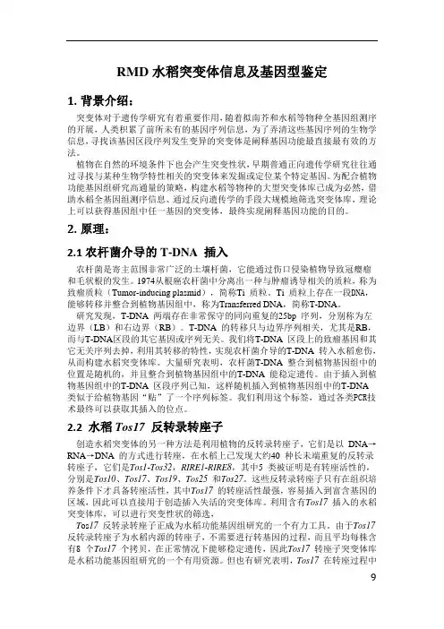 水稻突变体介绍及鉴定(很详细)汇总教材