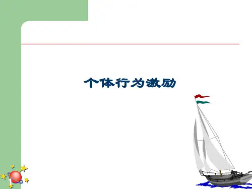 个体行为激励