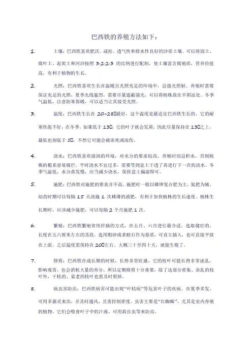 巴西铁养殖方法