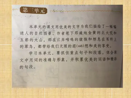 三年级上册语文课件-3.10 五花山 语文S版()(共39张ppt)