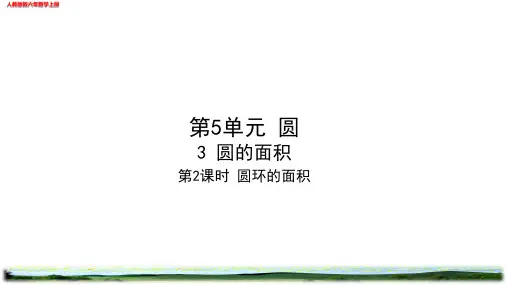 圆环的面积作业练习设计(校本班本作业)人教版六年级数学上册