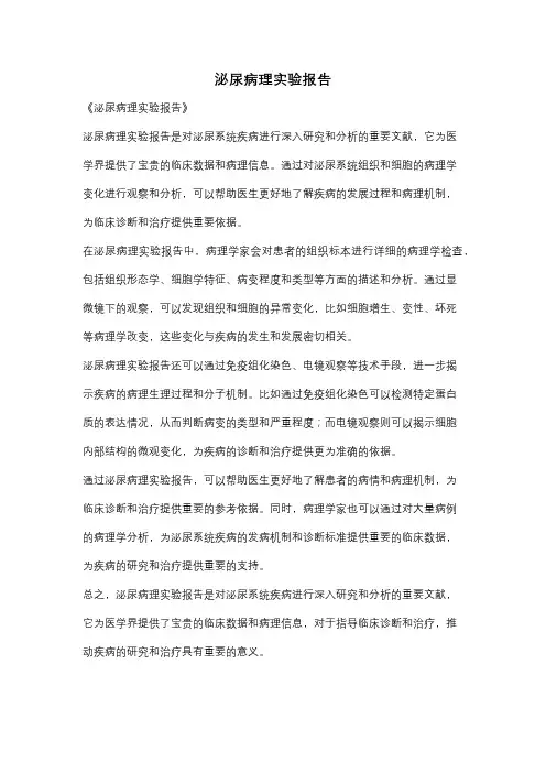 泌尿病理实验报告