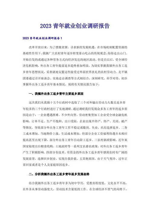 2023青年就业创业调研报告