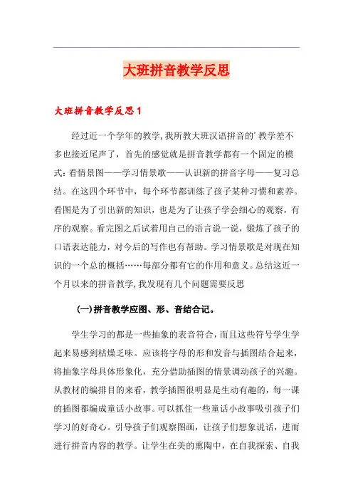 大班拼音教学反思