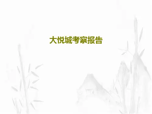 大悦城考察报告30页PPT